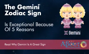 Gemini Zodiac Sign