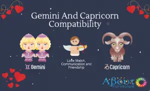gemini capricorn